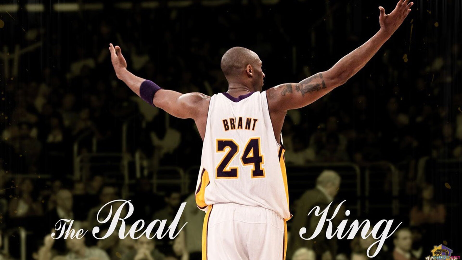 开云体育登录-联合杯横扫拉沃尔杯，德约科维奇扛起全队的时代象征